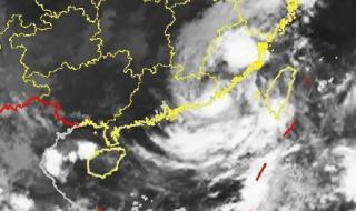 11号台风预计登陆地点