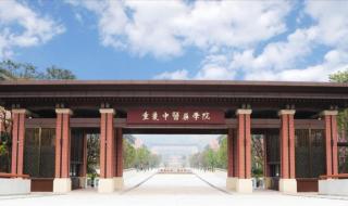 重庆中医学校录取分数线