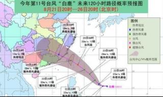 11号台风预计登陆地点