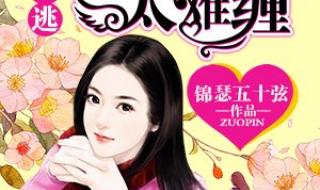 总裁女人的第五次出逃