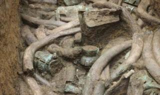 三星堆出土120根象牙