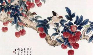 日啖荔枝三百颗下一句