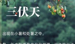 2021全国头伏热力地图