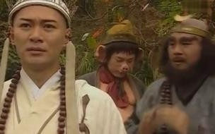 张卫健版西游记里的唐僧谁演的 张卫健版西游记叫什么