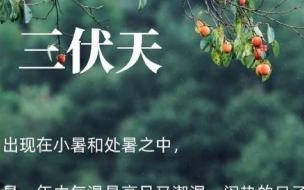 2021年7月1号,是头伏吗 2021全国头伏热力地图