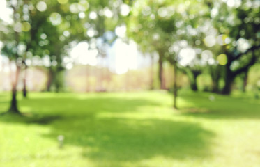 猜字谜小学一年级 一年级字谜大全500个